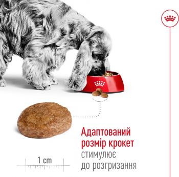 Сухий корм для собак Royal Canin Medium Adult 7+ середніх порід старше 7 років 4кг (3182550708203) Сухий корм для собак Royal Canin Medium Adult 7+ середніх порід старше 7 років 4кг (3182550708203) | Фото 6