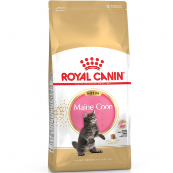 Сухий корм для кошенят породи Мейн-Кун Royal Canin Mainecoon Kitten 2кг (3182550816502) | Фото 1
