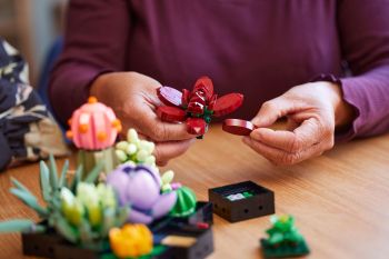 Конструктор LEGO Botanicals Сукуленти (10309) | Фото 3