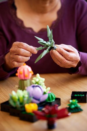 Конструктор LEGO Botanicals Сукуленти (10309) | Фото 4