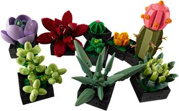 Конструктор LEGO Botanicals Сукуленти (10309) | Фото 7