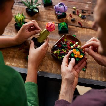 Конструктор LEGO Botanicals Сукуленти (10309) | Фото 8