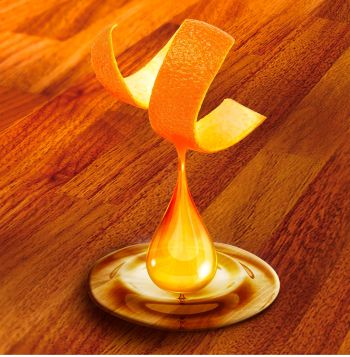 Засіб для миття стін та підлоги Mr. Proper Wood Floor Кедр та мандарин 1л (8001841105284) | Фото 5