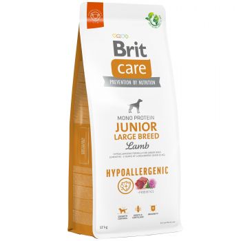 Корм для молодих собак Brit Care Dog Hypoallergenic Junior Large Breed гіпоалергенний з ягням 14кг (8595602559046) | Фото 1