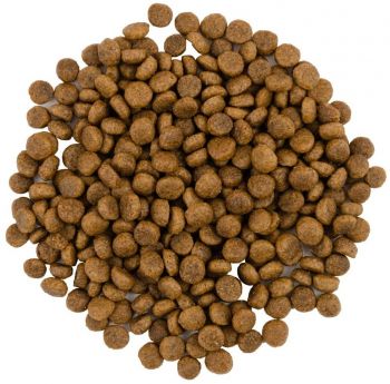 Сухий корм для кішок Savory зі свіжим м'ясом індички та качкою 400 г (4820232630044) | Фото 4