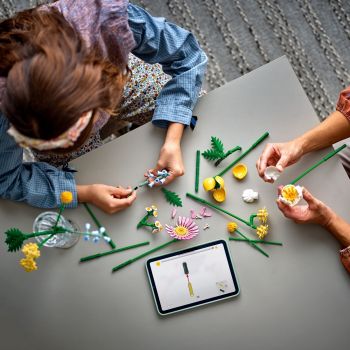 Конструктор LEGO Botanicals Мініатюрний сонячний букет (10347) | Фото 6