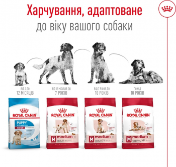Сухий корм для собак Royal Canin Medium Adult середніх порід 4кг | Фото 6
