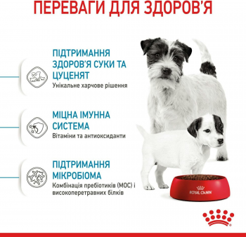 Вологий корм Royal Canin Starter Mother & BabyDog Mousse в період лактації та цуценят 195 г Вологий корм Royal Canin Starter Mother & BabyDog Mousse в період лактації та цуценят 195 г | Фото 5