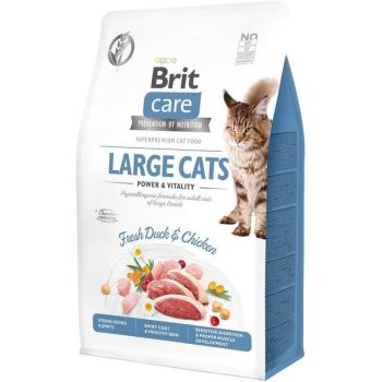 Сухий корм Brit Care для котів великих порід Power and Vitality 400г (8595602541133) | Фото 1