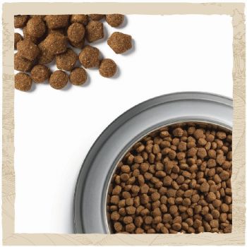 Dog Chow Puppy Large Breed з індичкою, 14 кг (7613034487919) | Фото 4