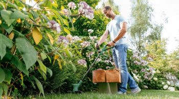 BOSCH EasyGrassCut 26 (0.600.8C1.J01) BOSCH EasyGrassCut 26 (0.600.8C1.J01) | Фото 6