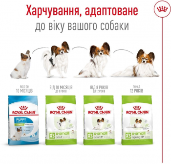 Сухий корм для собак Royal Canin X-Small Adult мініатюрних порід 3кг | Фото 4