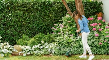 BOSCH EasyGrassCut 26 (0.600.8C1.J01) BOSCH EasyGrassCut 26 (0.600.8C1.J01) | Фото 4