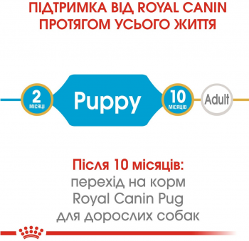 Сухий корм для цуценят породи Мопс Royal Canin Pug Puppy 1.5кг Сухий корм для цуценят породи Мопс Royal Canin Pug Puppy 1.5кг | Фото 4