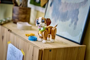 Купить конструктор Конструктор LEGO Creator Чарівні тварини: грайливе щеня (31382) | Фото 4