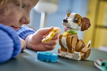 Купить конструктор Конструктор LEGO Creator Чарівні тварини: грайливе щеня (31382) | Фото 5