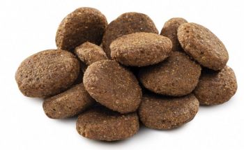 Сухий корм для літніх собак великих та гігантських порід Brit Premium Senior L+XL курка 15 кг (8595602526482) | Фото 5