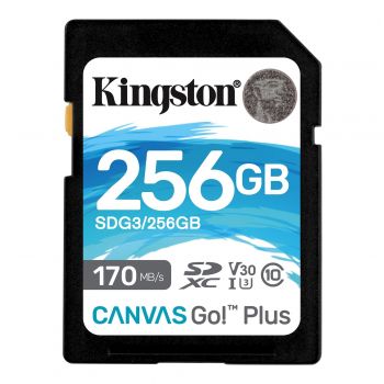 Карта пам`яті KINGSTON 256GB SDXC Canvas Go Plus 170R C10 UHS-I U3 V30 (SDG3/128GB) | Фото 1