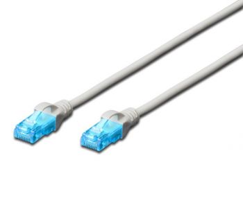 DIGITUS cat.5e UTP,0.25м,AWG 26/7 серого цвета (DK-1511-0025) | Фото 1