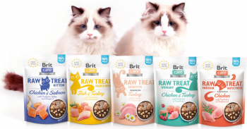 Ласощі для кішок Brit Care Raw Treat Indoor&Antistress з куркою 40г | Фото 4