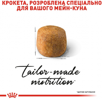 Сухий корм для котів породи Мейн-Кун Royal Canin Mainecoon Adult 10 кг (3182550710664) | Фото 2
