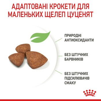 Сухий корм для цуценят Royal Canin X-Small Puppy мініатюрних порід собак 1.5кг Сухий корм для цуценят Royal Canin X-Small Puppy мініатюрних порід собак 1.5кг | Фото 6