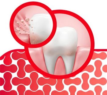Зубна паста Parodontax Захист ясен+Свіже дихання 75 мл (5054563120410) | Фото 3