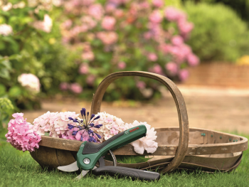 Секатор аккумуляторний BOSCH EasyPrune 12В (0.600.8B2.102) | Фото 22