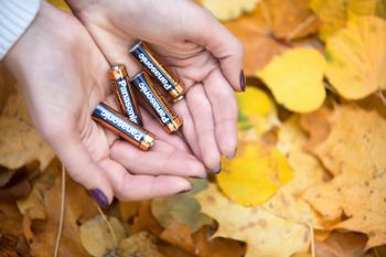 PANASONIC ALKALINE POWER AA BLI 2 (LR6REB/2BP) PANASONIC ALKALINE POWER AA BLI 2 (LR6REB/2BP) | Фото 3