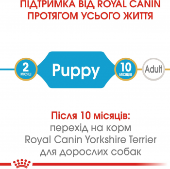 Сухий корм для цуценят породи Йоркширський-тер'єр Royal Canin Yorkshire Puppy 0.5кг | Фото 8