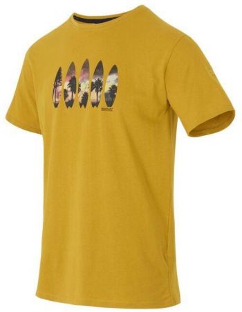 Футболка чоловіча Regatta ClineIX RMT296-6CH S жовта (5063516005421) | Фото 4