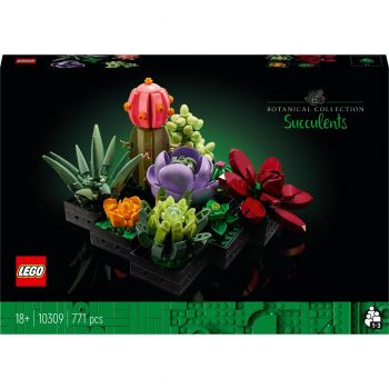 Купить конструктор Конструктор LEGO Botanicals Сукуленти (10309) | Фото 1
