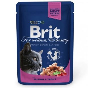 Brit Premium pouch лосось та форель, 100 г (8595602505999) | Фото 1