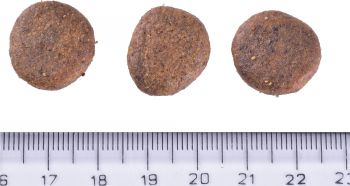 Корм для старіючих собак Brit Care Dog Grain-free Senior & Light беззерновий з лососем 12кг (8595602558926) Корм для старіючих собак Brit Care Dog Grain-free Senior & Light беззерновий з лососем 12кг (8595602558926) | Фото 4