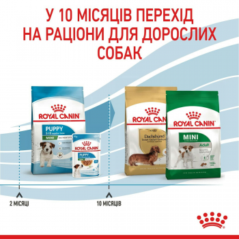 Сухий корм для цуценят Royal Canin Puppy Mini дрібних порід собак 800г Сухий корм для цуценят Royal Canin Puppy Mini дрібних порід собак 800г | Фото 5