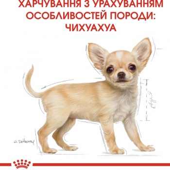 Сухий корм для цуценят породи Чихуахуа Royal Canin Chihuahua Puppy 1.5кг Сухий корм для цуценят породи Чихуахуа Royal Canin Chihuahua Puppy 1.5кг | Фото 6