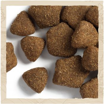Dog Chow Adult Lamb з ягнятком, 2.5 кг (7613034485946) Dog Chow Adult Lamb з ягнятком, 2.5 кг (7613034485946) | Фото 5