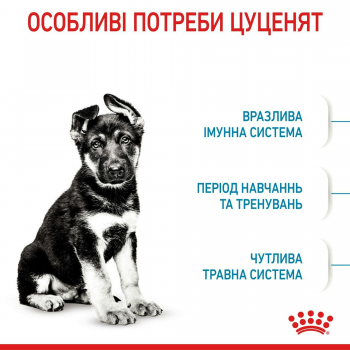 Сухий корм для цуценят Royal Canin Maxi Puppy великих порід собак 4кг | Фото 9