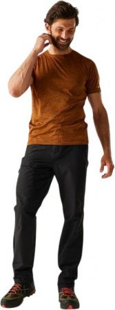 Штани чоловічі Regatta HightonTrsII RMJ318-800 36 чорні (5063019995151) | Фото 3