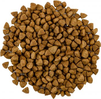 Сухий корм для кастрованих котів Savory зі свіжим м'ясом ягняти та курки 2 кг (4820232630112) | Фото 3