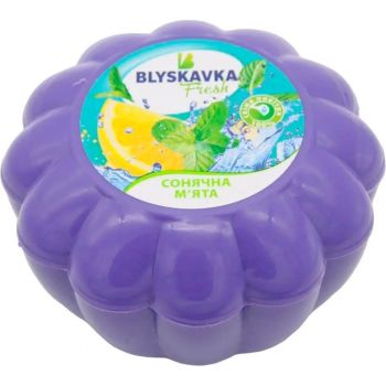 Освіжувач повітря гелевий Blyskavka Fresh Сонячна м`ята (4820214190733) | Фото 1