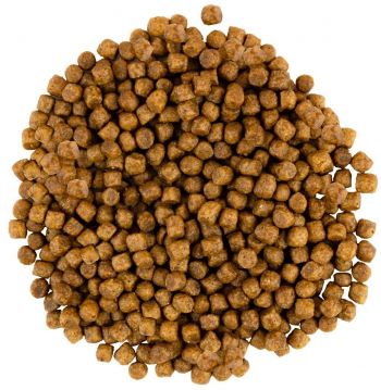 Сухий корм для кошенят Savory зі свіжим м'ясом індички та курки 400г (4820232630136) | Фото 3