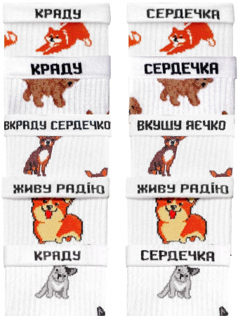 Набір шкарпеток NOSKAR Великий Песиковий 36-40 5 пари білі (bigpuppysetsocks36 ) Набір шкарпеток NOSKAR Великий Песиковий 36-40 5 пари білі (bigpuppysetsocks36 ) | Фото 2