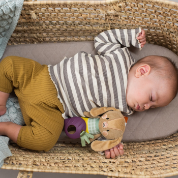 Розвиваюча підвіска-брязкальце TAF TOYS колекції 