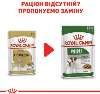 Вологий корм для собак породи Чихуахуа Royal Canin Chihuahua Adult 85г Вологий корм для собак породи Чихуахуа Royal Canin Chihuahua Adult 85г | Фото 4