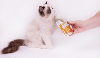 Вологий корм для котів Brit Care Суп з качкою 75г (8595602569182) | Фото 4