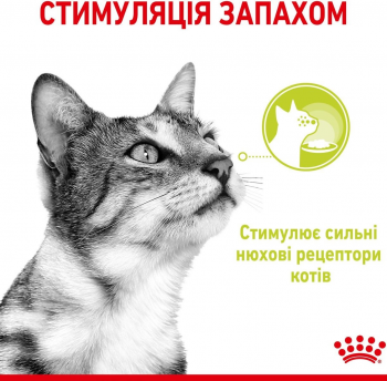 Вологий корм для котів Royal Canin Sensory Smell Gravy 85г | Фото 7