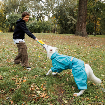 Дощовик Pet Fashion «Rain» для собак, розмір XL, бірюза (4823082425761) Дощовик Pet Fashion «Rain» для собак, розмір XL, бірюза (4823082425761) | Фото 3
