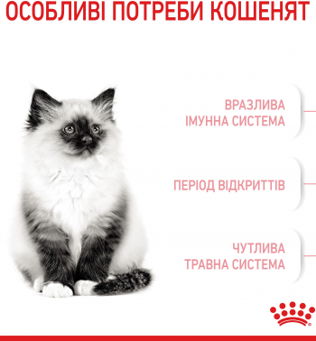 Сухий корм для кошенят Royal Canin Kitten 4кг (3182550702447) | Фото 4