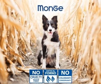 Вологий корм для собак Gemon Dog medium adult з тунцем та лососем 0,415 кг(8009470387880) Вологий корм для собак Gemon Dog medium adult з тунцем та лососем 0,415 кг(8009470387880) | Фото 2